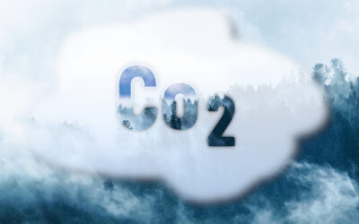 Wie sinnvoll ist CO2-Kompensation?